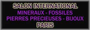 Salon minraux, gemmes et fossiles  Paris