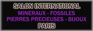 Salon minéraux, gemmes et fossiles à Paris