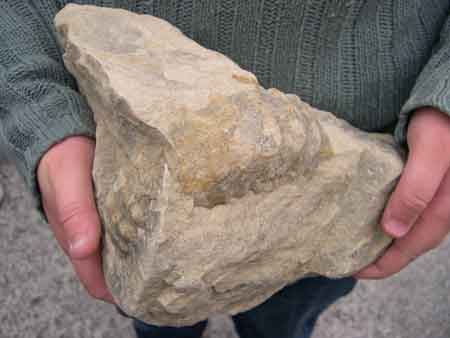 Bloc de craie à ammonite ramassé au cap Blanc-Nez, sauvé de l'érosion