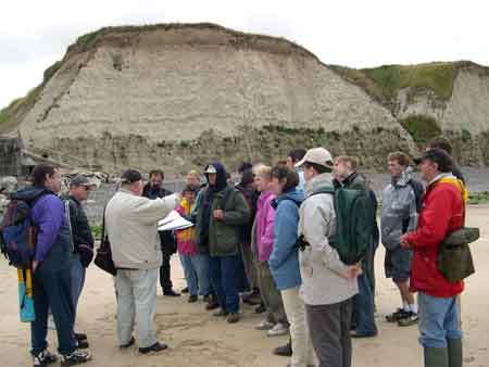 Animation géologique Géopolis : conférence sur la géologie du Boulonnais In Situ