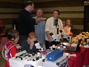 La bourse aux minéraux et fossiles de Wasquehal.