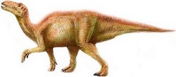 Site Internet sur la préhistoire et les dinosaures.