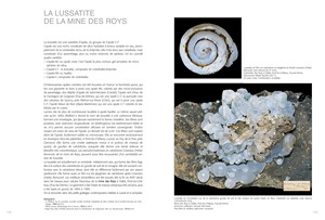 Lussatite de la mine des Roys.